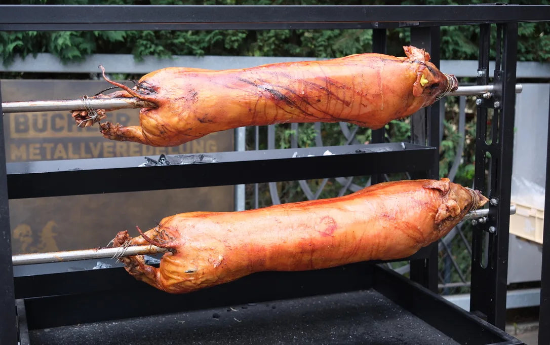 Two suckling pigs on the spit over the coals at an event in Basel
